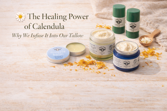 🌼 The Healing Power of Calendula: Why We Infuse It Into Our Tallow
