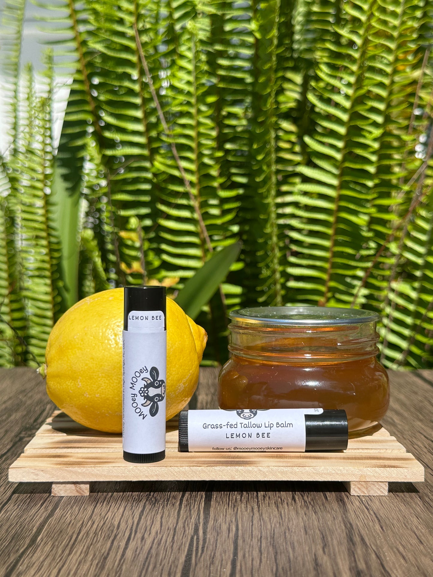 Citrus Sampler Whipped Tallow Bundle