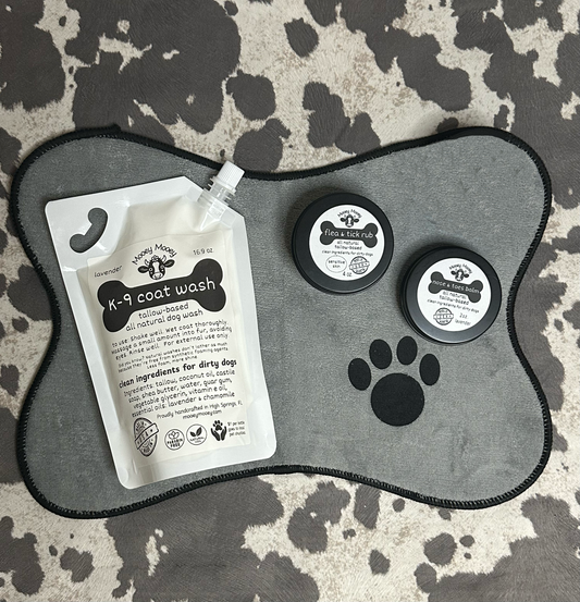 🐾Tail Waggin’ Starter Bundle – Small & Sensitive Pups