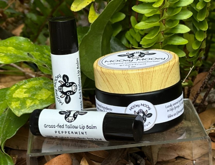 Mint to Bee- Peppermint Lip Balm
